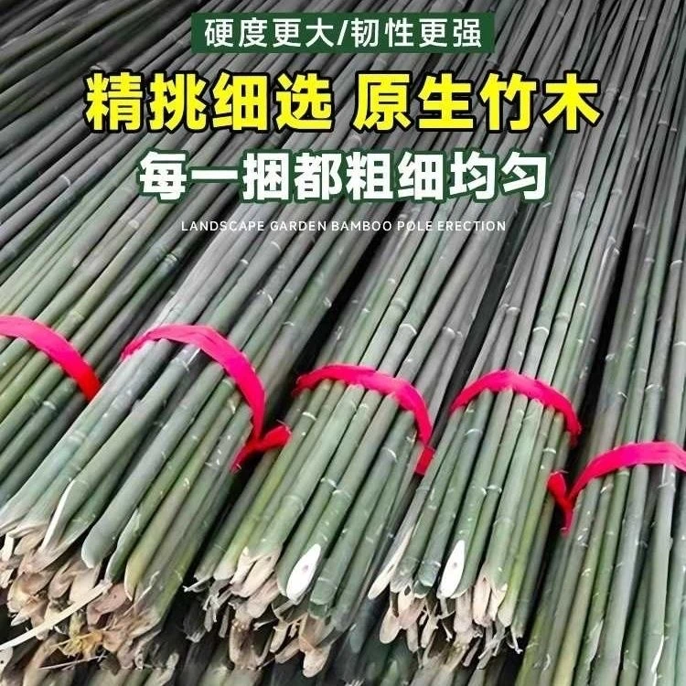 菜园搭架竹竿蔬菜爬藤支架黄瓜豆角番茄篱笆栅栏细竹子