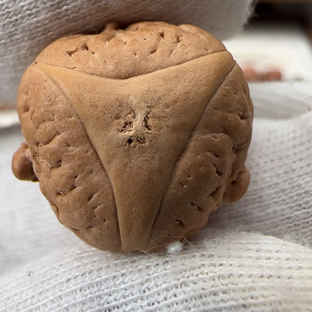 凤眼菩提吊坠凤眼菩提