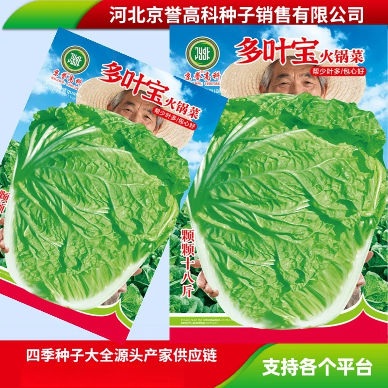 【全店满5元包邮】火锅菜白菜种子家庭园艺农家小菜园蔬菜瓜果种