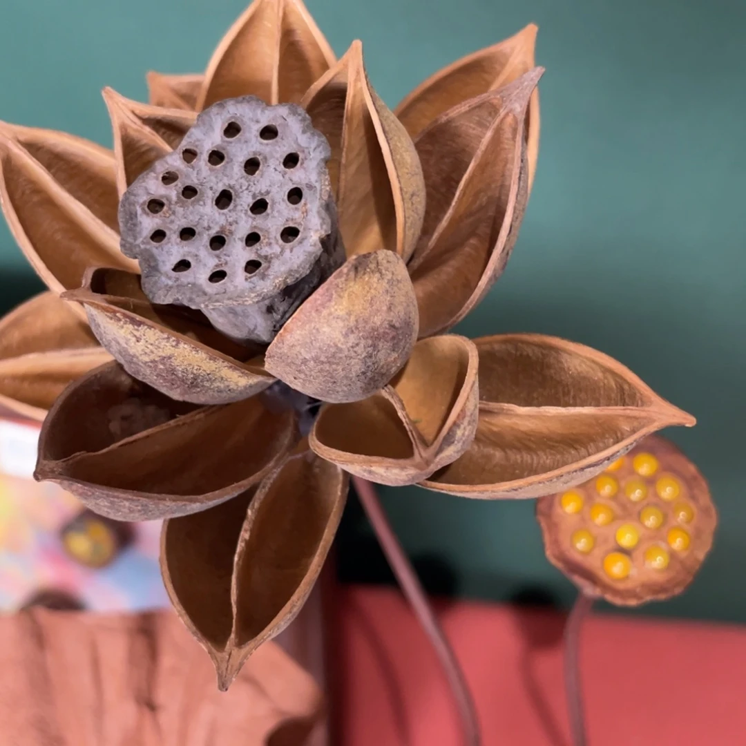 核桃木/黑胡桃（胡桃木）榴*✨花
