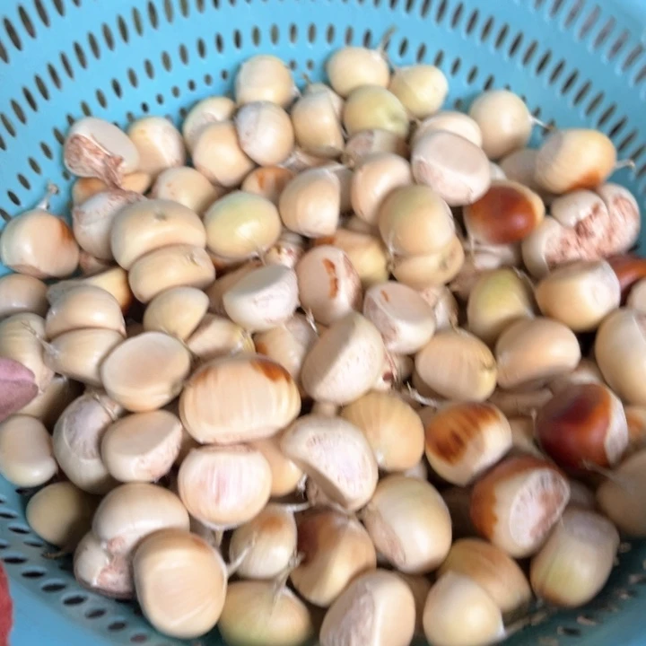 湖北老品种中国大陆