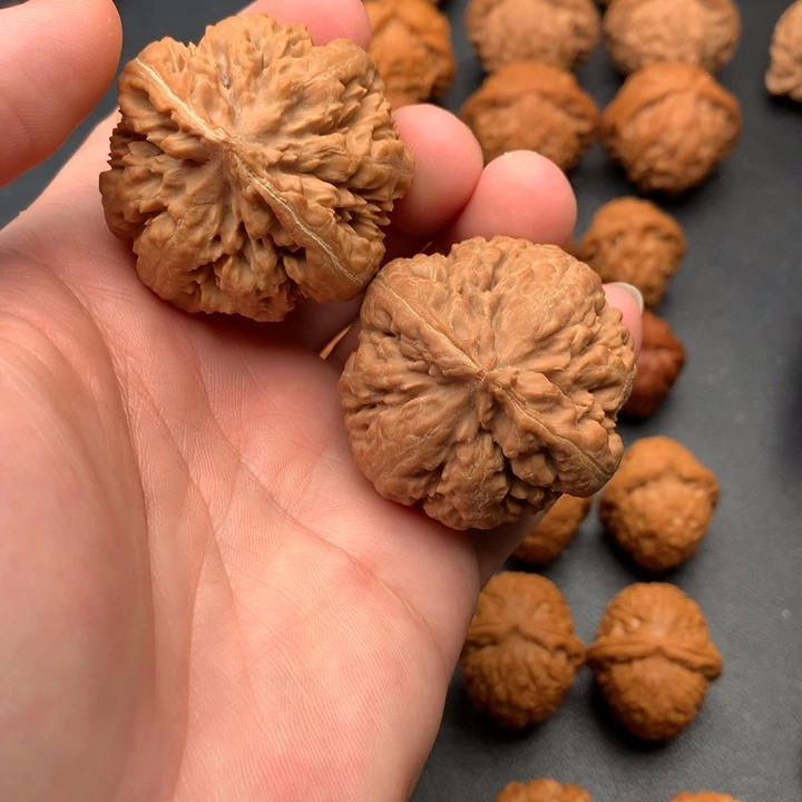 文玩核桃吊坠霸王龙