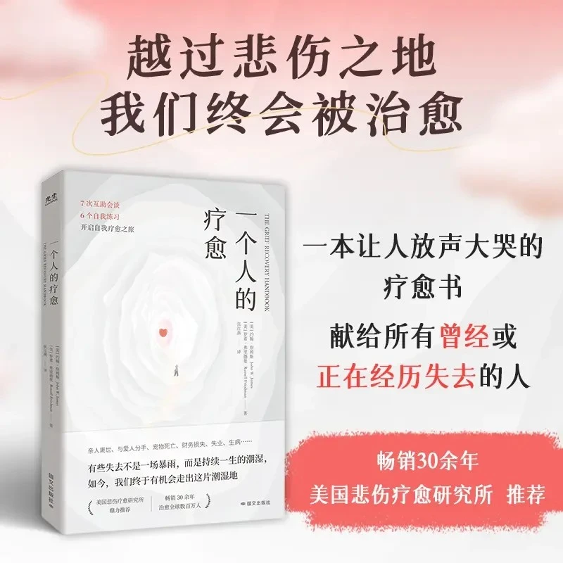 一个人的疗愈 一本让人放声大哭的疗愈书 反内耗心理学书籍