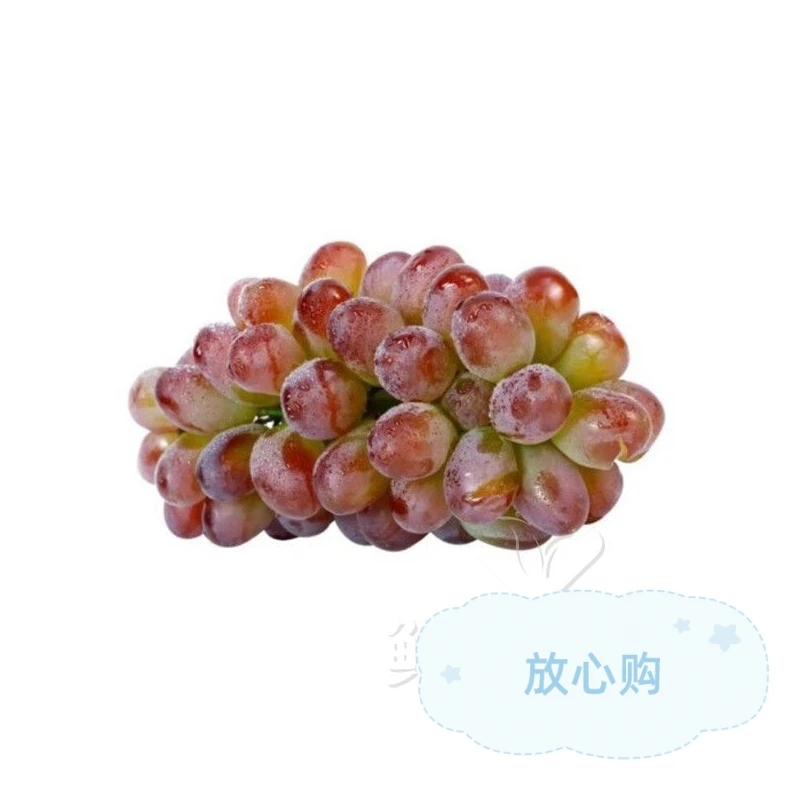 【上新】【鲜剪】四川克伦生无籽红提500g