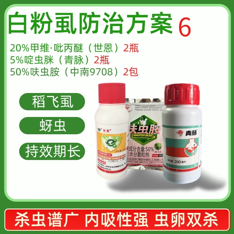 白粉虱防治方案兼治蚜虫啶虫脒呋虫胺虫卵双杀农药