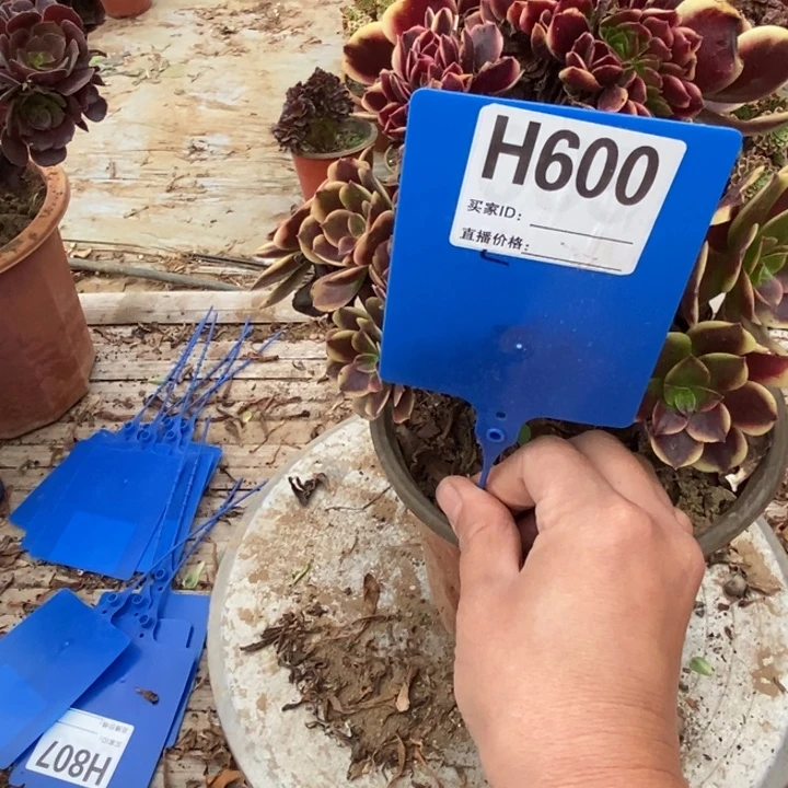 飘***600欧家利老庄老张