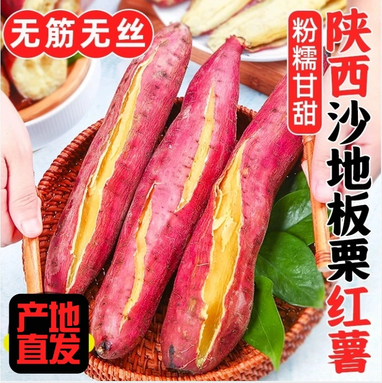 正宗陕西板栗红薯现挖蜜薯干面口感沙地新鲜番薯j