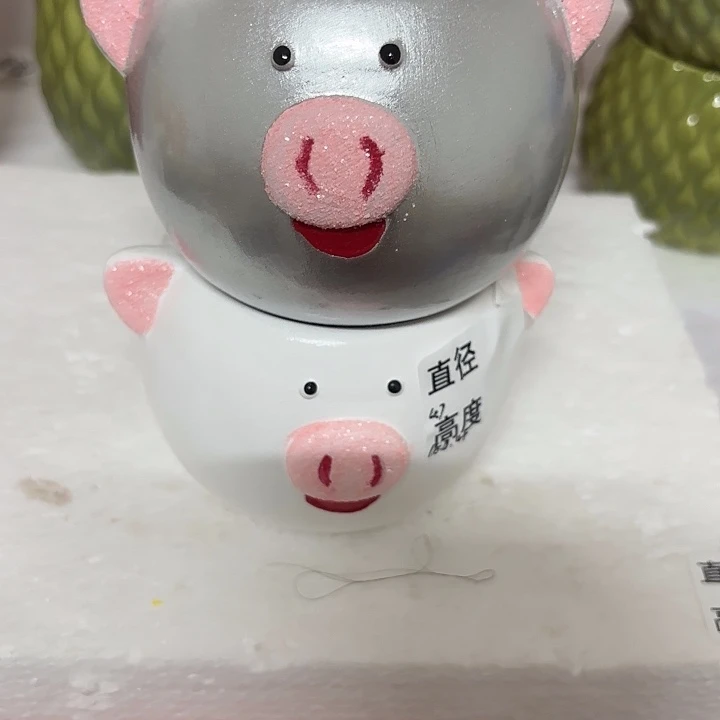 陶瓷花盆多肉植物