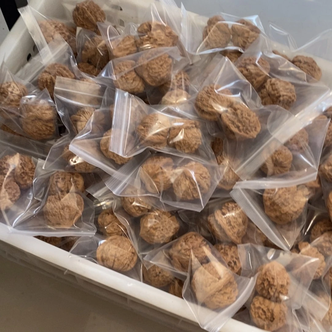 文玩核桃吊坠龙鼎一般对