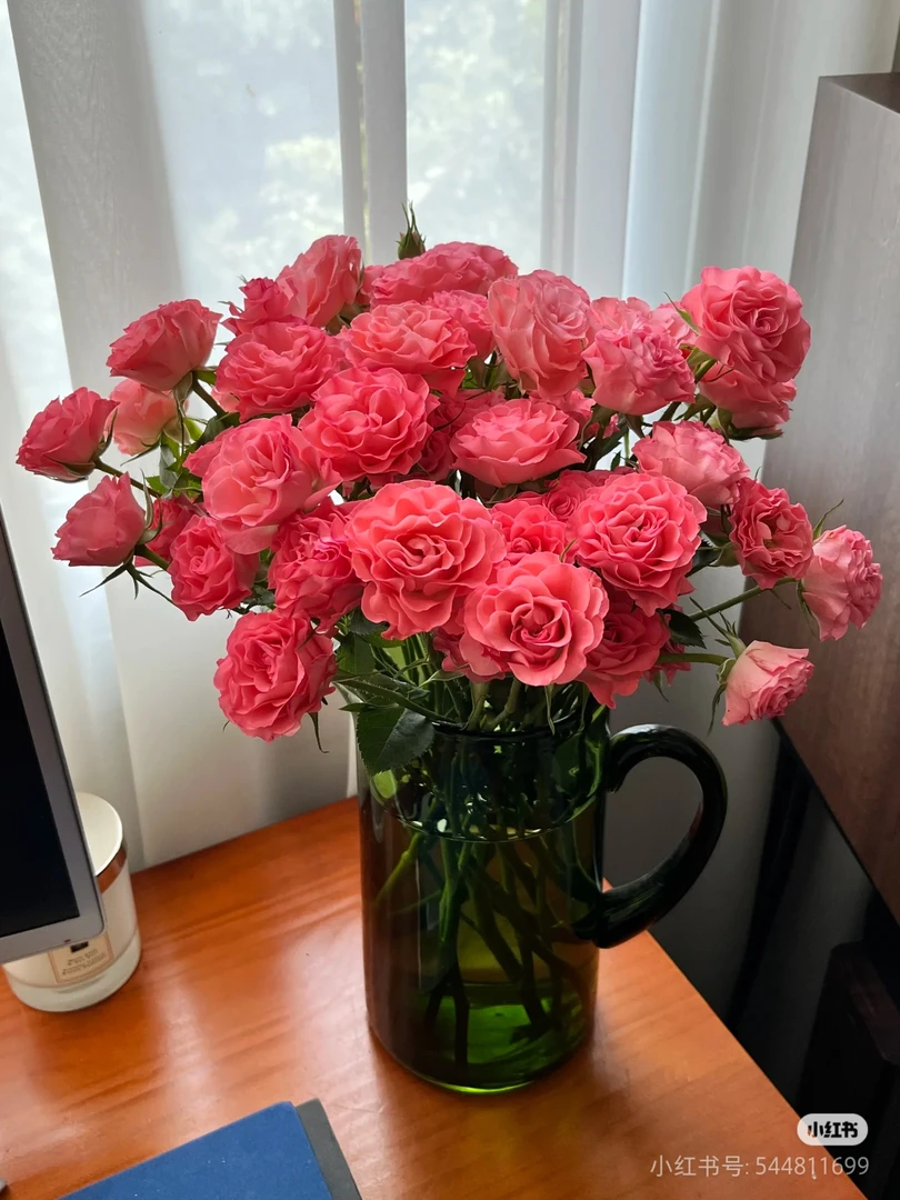 粉华尔茨多头玫瑰【收到花一定要醒花，不会的请联系客服】