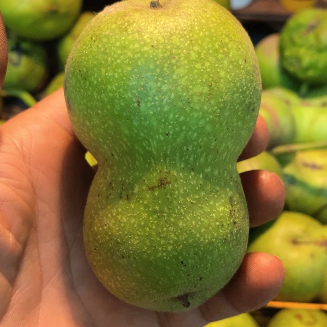 文玩麻核桃  yunbaww