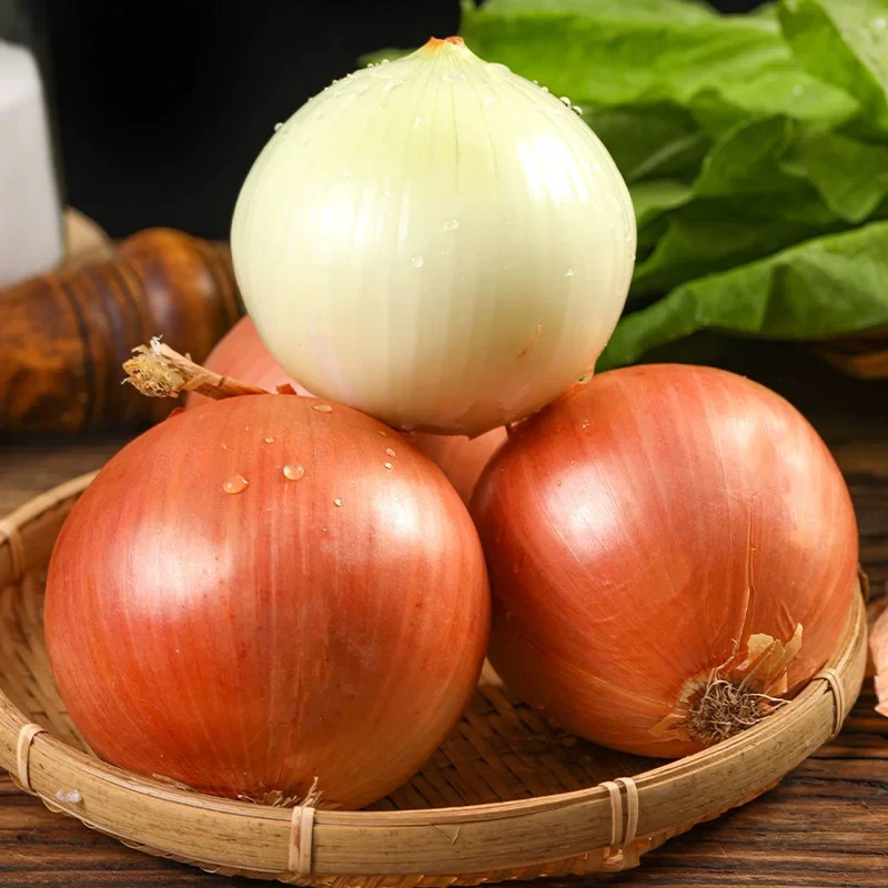 黄皮洋葱新鲜当季水果蔬菜农家自种香甜味浓5斤装坏果包赔
