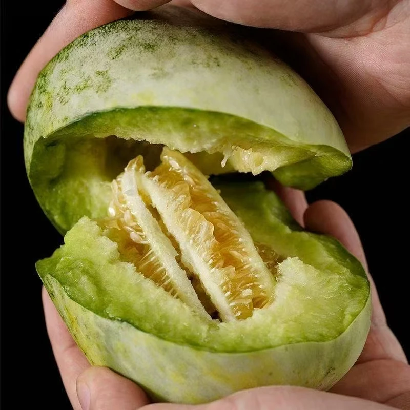 【顺丰快递】金冠甜瓜新鲜酥脆应季水果g