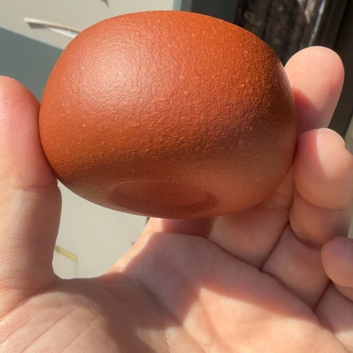 茶壶紫砂小郭紫砂