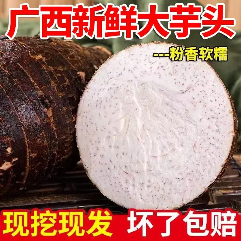 正宗广西荔浦芋头香芋粉糯香槟榔芋当季新鲜现挖火锅香芋蔬菜包邮