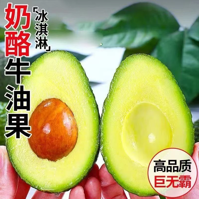 【顺丰包邮】哈斯牛油果新鲜即食水果适合当宝宝辅食