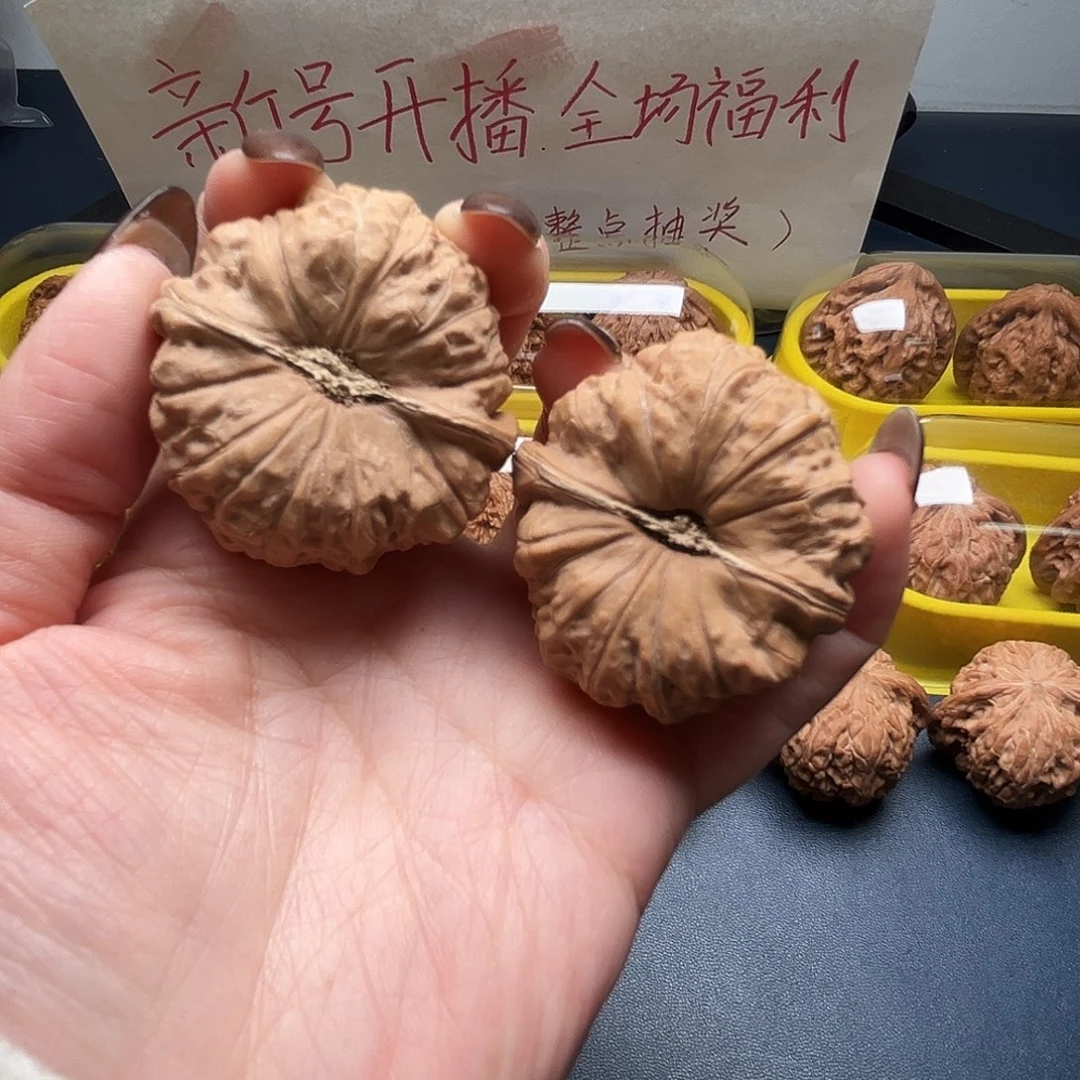 核桃41尺寸南瓜墩