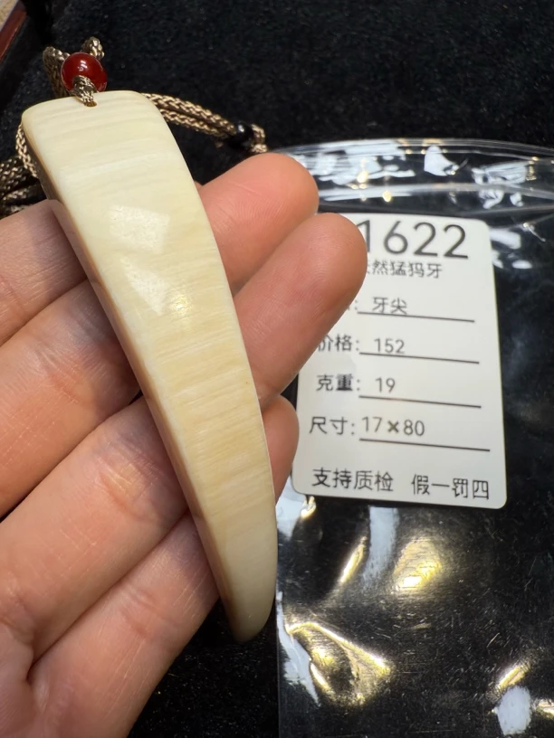 D1622天然猛犸牙牙尖配饰