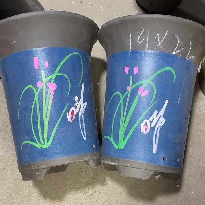 红陶紫砂紫砂紫砂