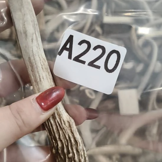 琦***悦鹿角鹿角鹿角鹿角