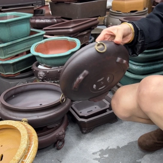 紫砂花盆漂亮漂亮