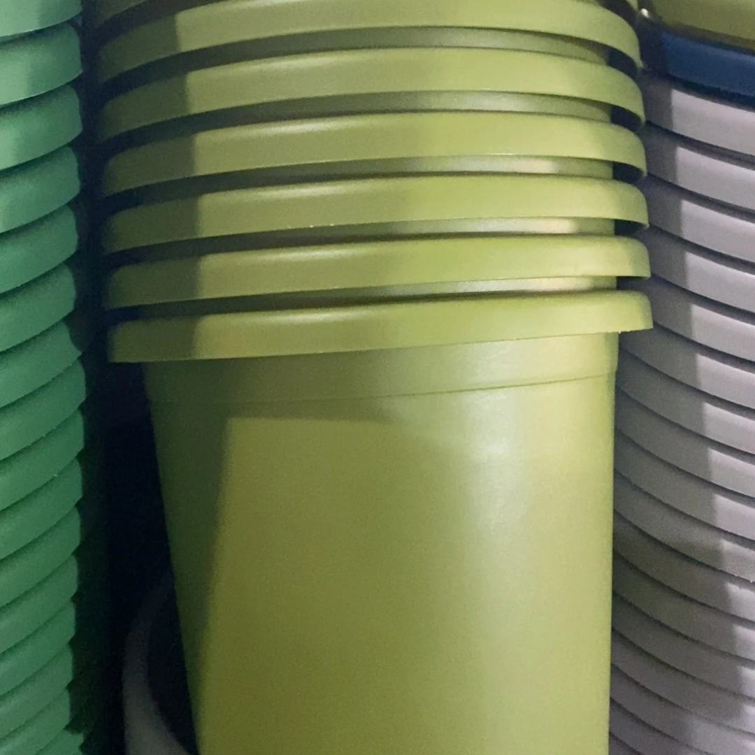 树脂特价4#无拖果绿8个