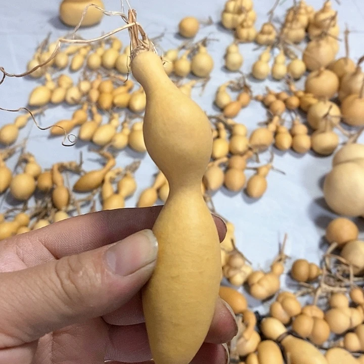 葫芦小手捻蚂蚁度葫芦