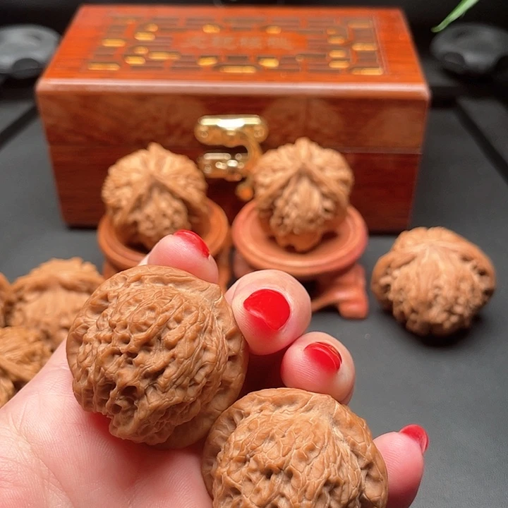 没**看全品无修无添加