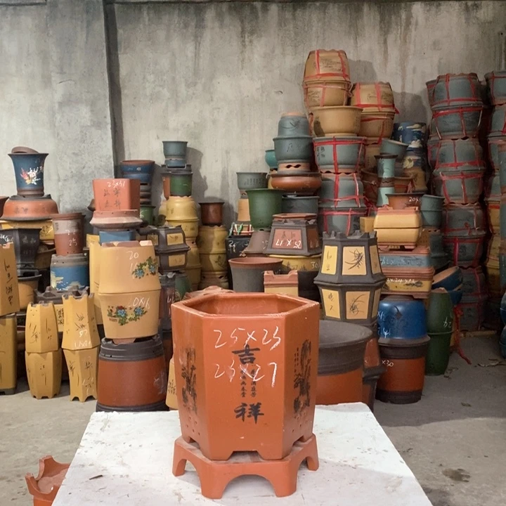 紫砂花盆盆栽花卉种植