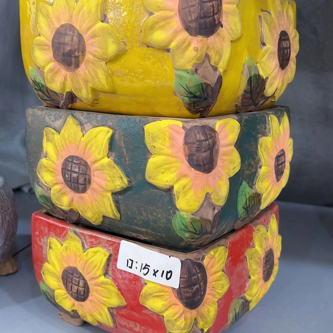 【闪购商品】红陶福利