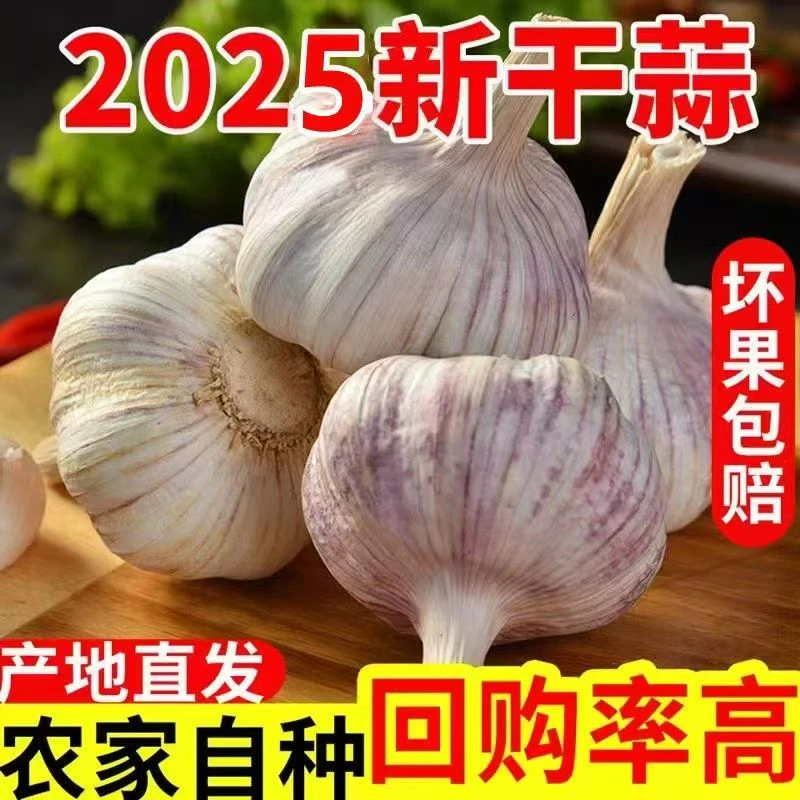 干蒜大蒜头紫白皮干蒜辛辣提香厨房必备5斤