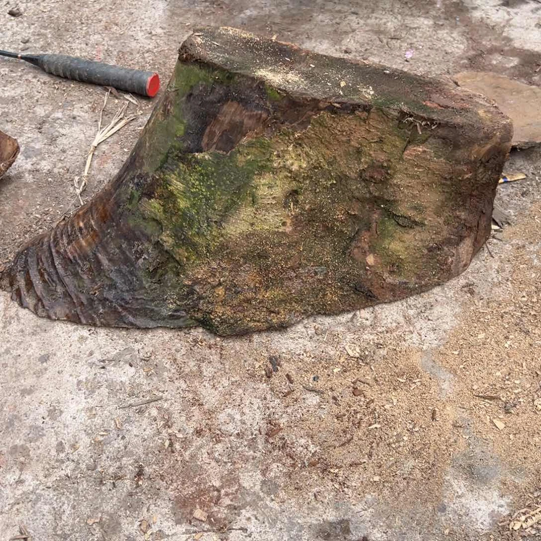 金丝楠用****92222223333333