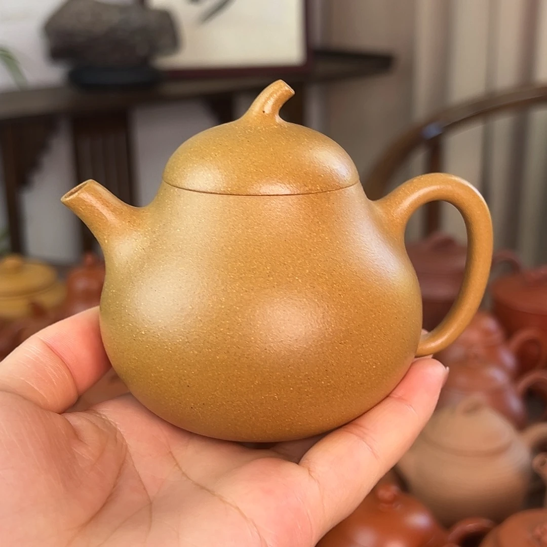 茶壶紫砂精品原矿黄段茄瓜180/200左右
