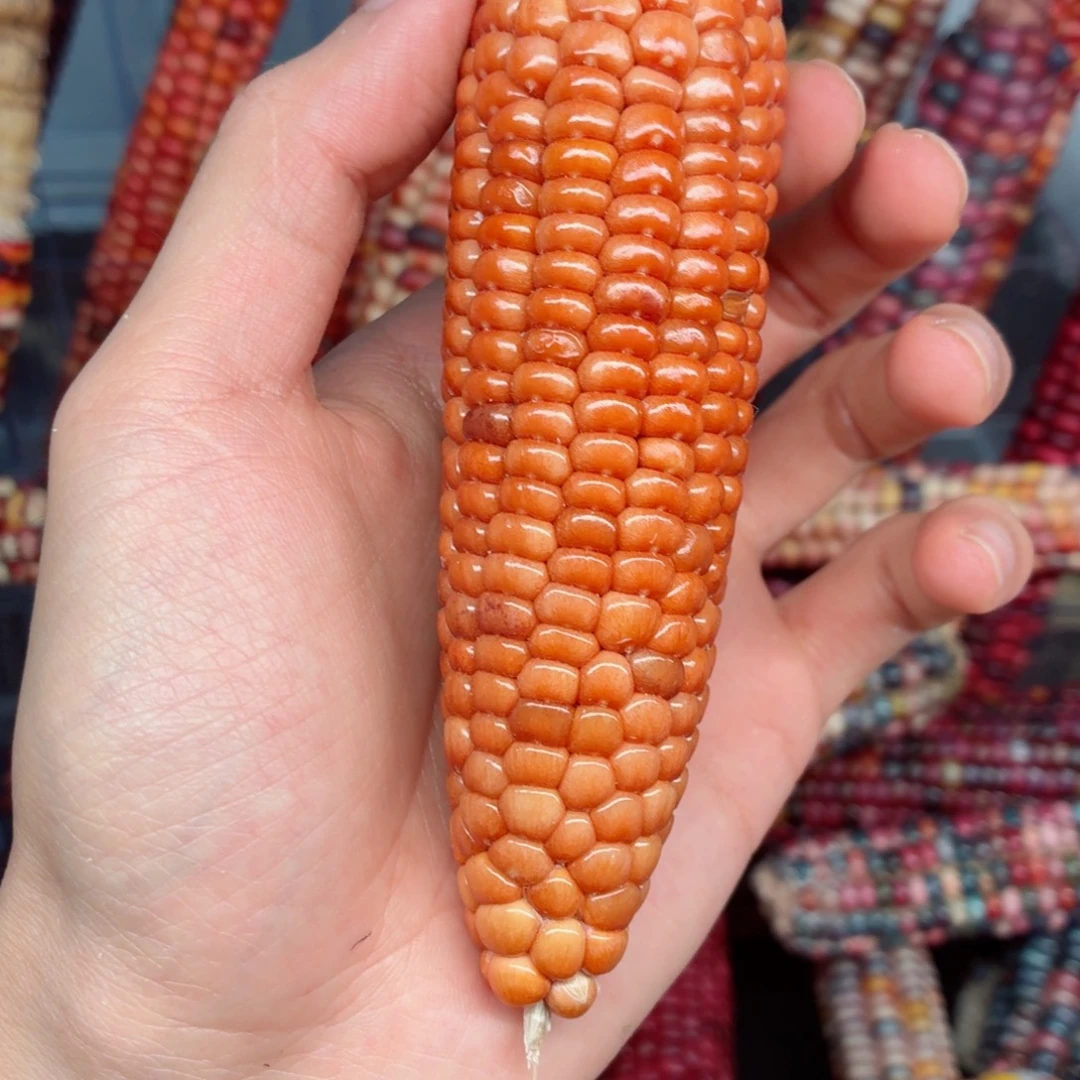 艾***雨白玉菩提吊坠文玩精品文玩精品