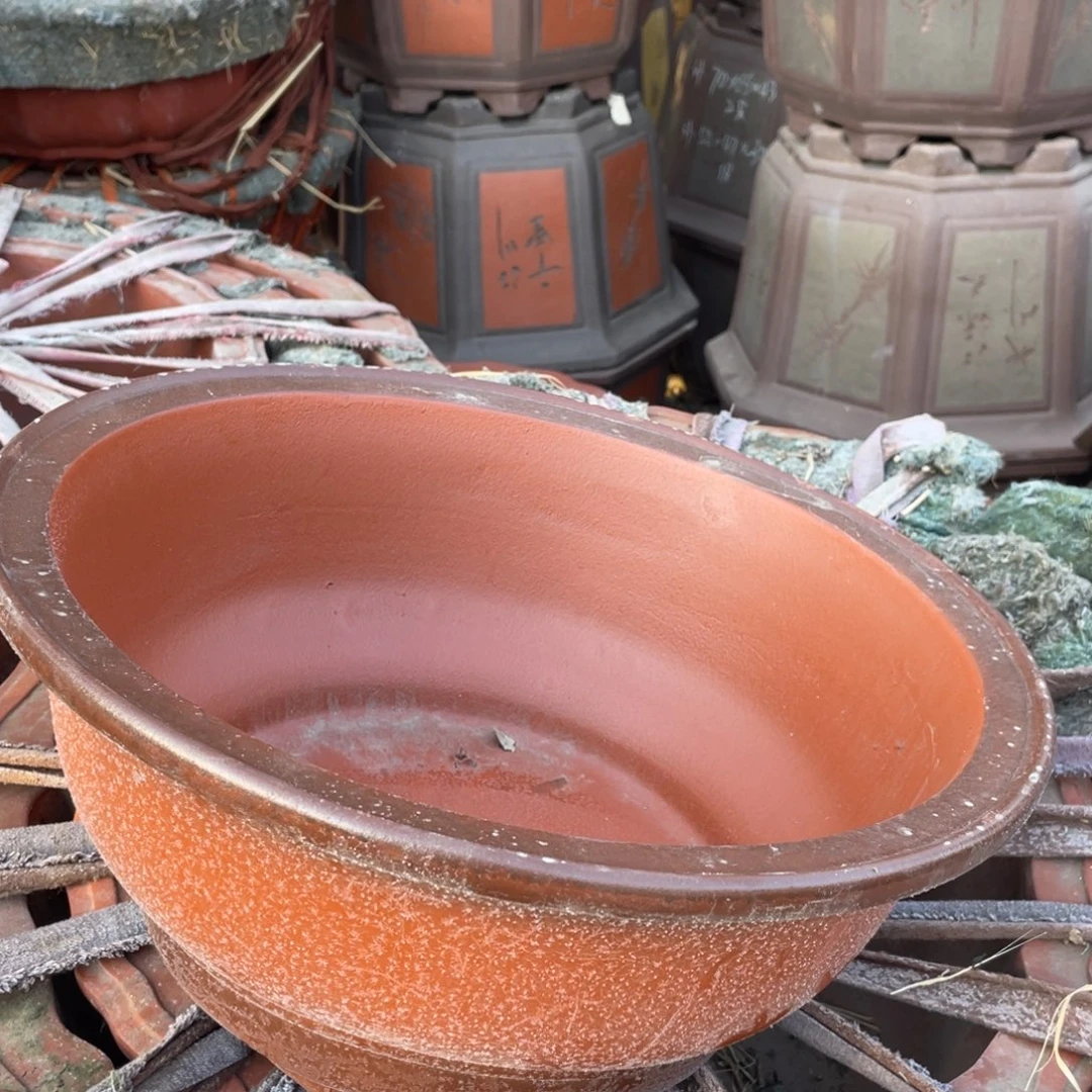 紫砂70-66-43八角红色俩支 送圆盆