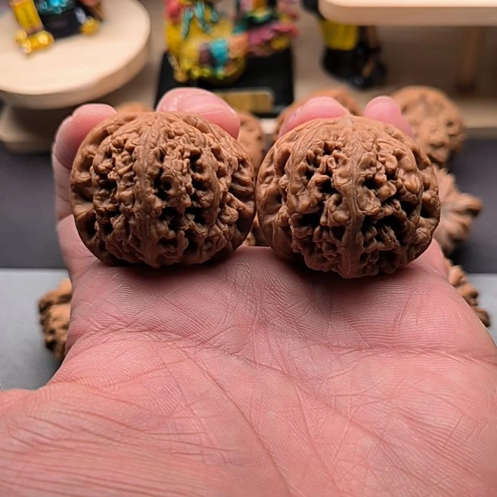 核桃山地大粗筋41尺