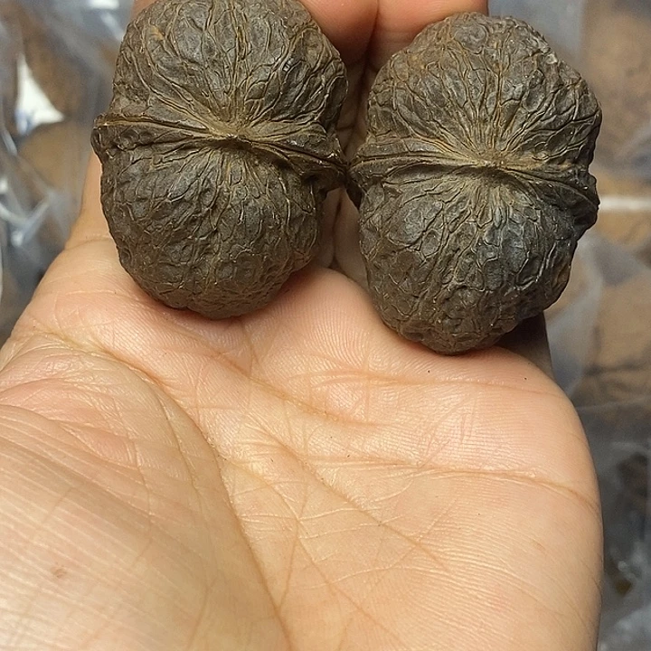 把件文玩核桃云南铁核桃59