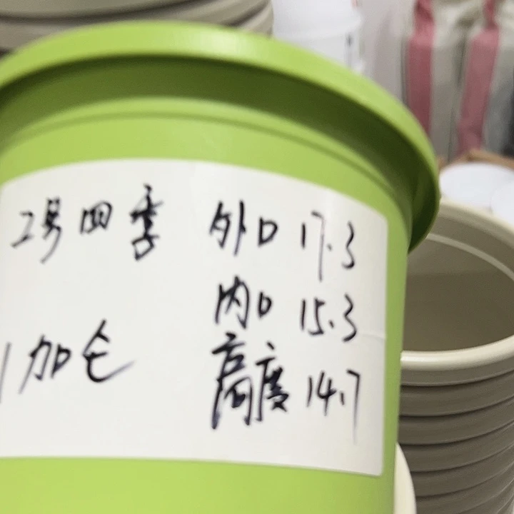 特价2号四季口17.3高14.7果绿无托10只