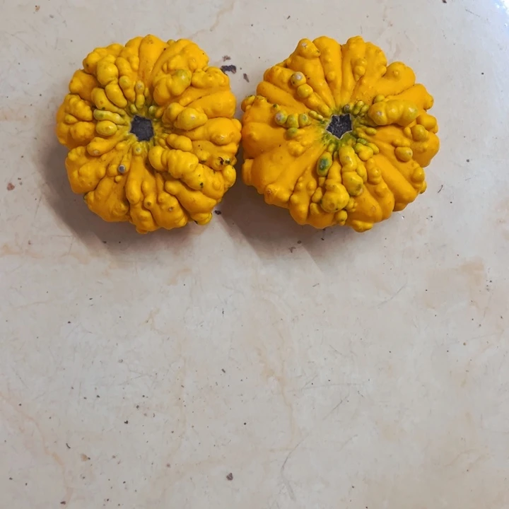 随*墨西哥葫芦葫芦旅途