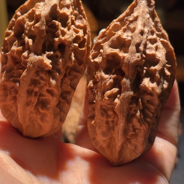 吊坠文玩核桃九哥楸核5