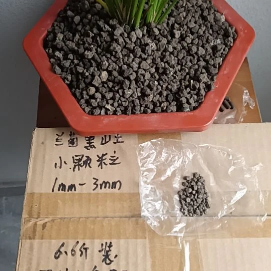 军***5兰菌黑山土小颗粒6.6斤