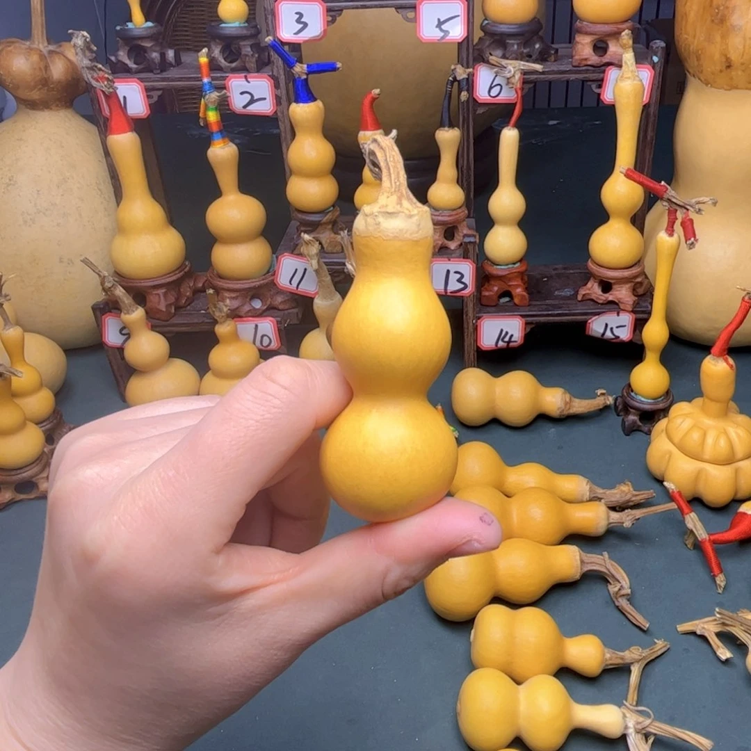 用****5直播专属链接，