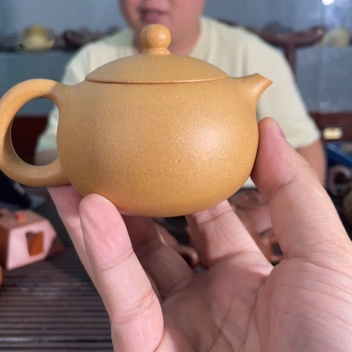 茶壶紫砂哈哈哈哈哈这个综艺节目真的