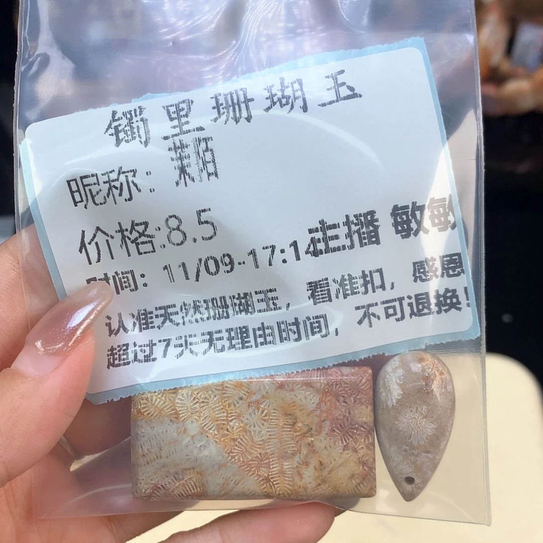 【闪购商品】颈饰未镶嵌硅化珊瑚（珊瑚玉）茉*