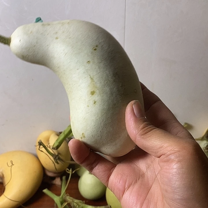 雾***i青皮腰子葫芦手把件葫芦