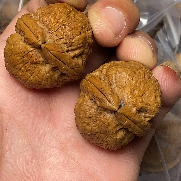 把件文玩核桃云南铁核桃7