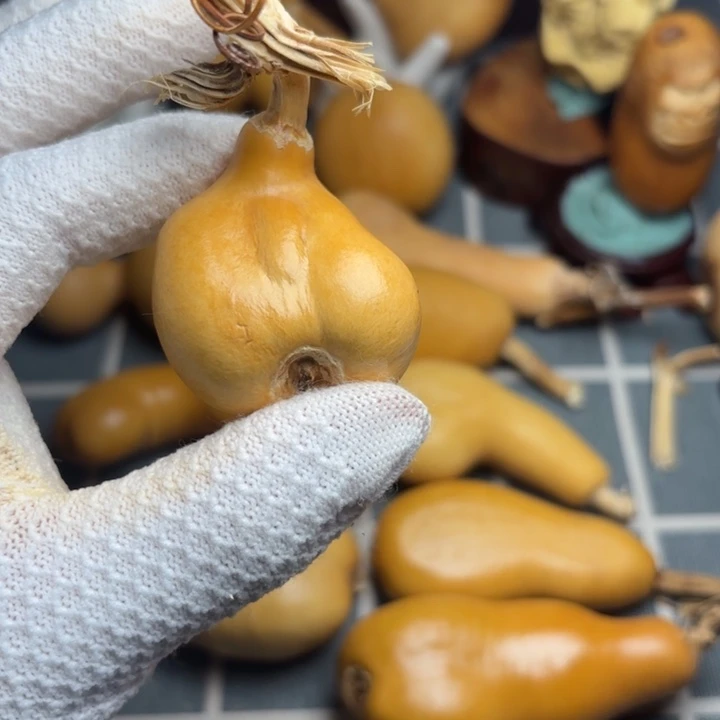 大***哥裂6666666666666666