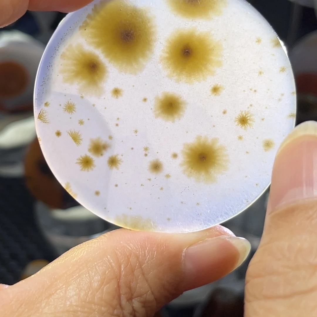 未镶嵌颈饰玛瑙/玉髓