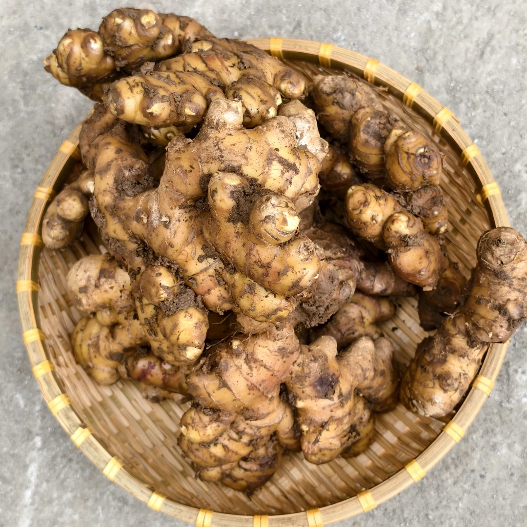 贵州二黄姜山姜皮色黄亮肉质细嫩芳香浓郁辡味适中调味腌制品姜茶