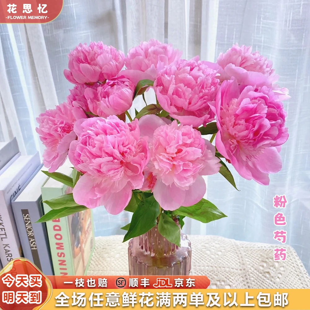 特价『粉嘟嘟的粉芍药5枝』花苞发货 家居养花全场任意两单鲜花顺丰京东包邮三单鲜花送玻璃花瓶芍药次日达